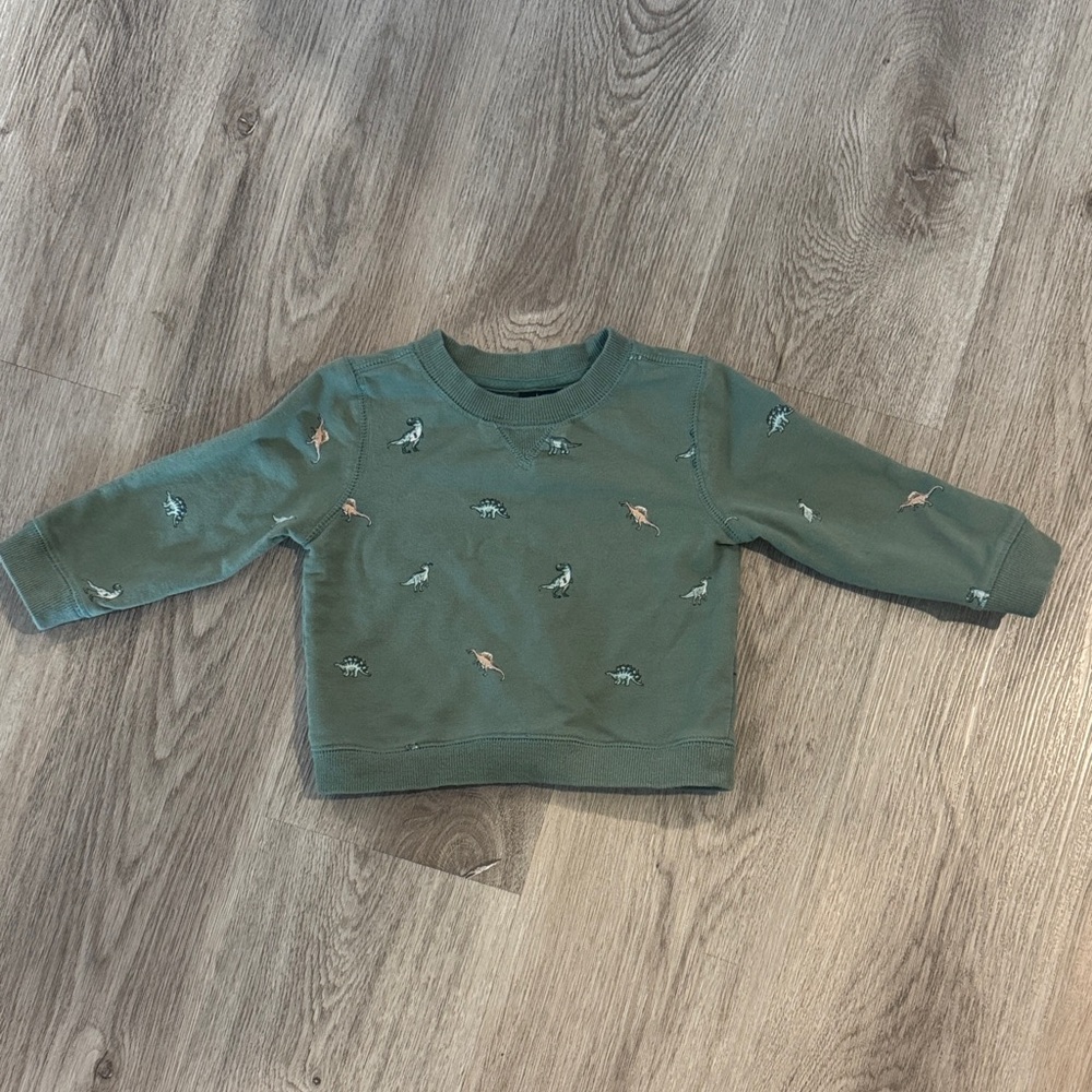 Janie and Jack Dinosaur Sweatshirt